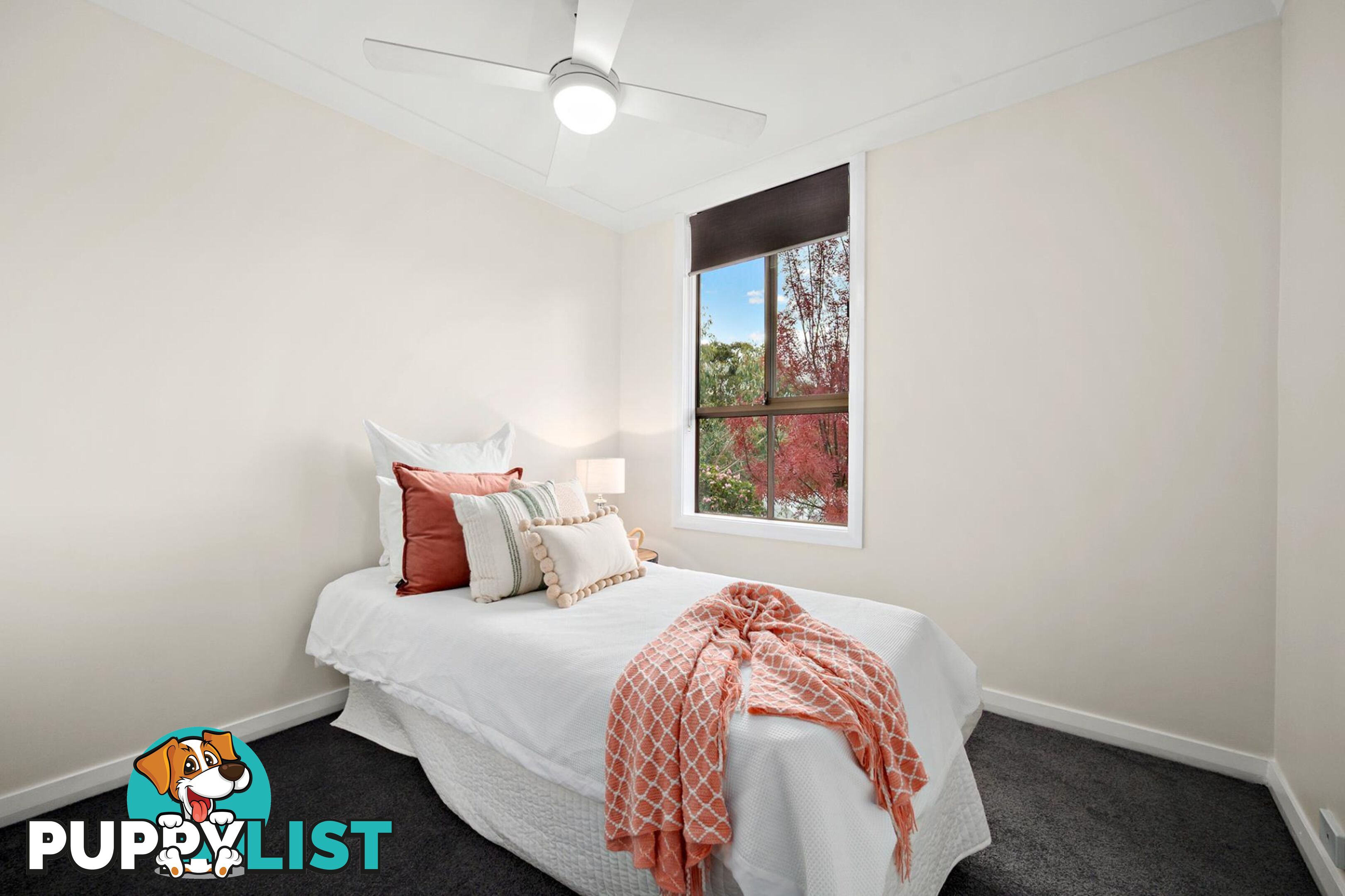 8 Custance Street FARRER ACT 2607