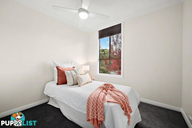 8 Custance Street FARRER ACT 2607