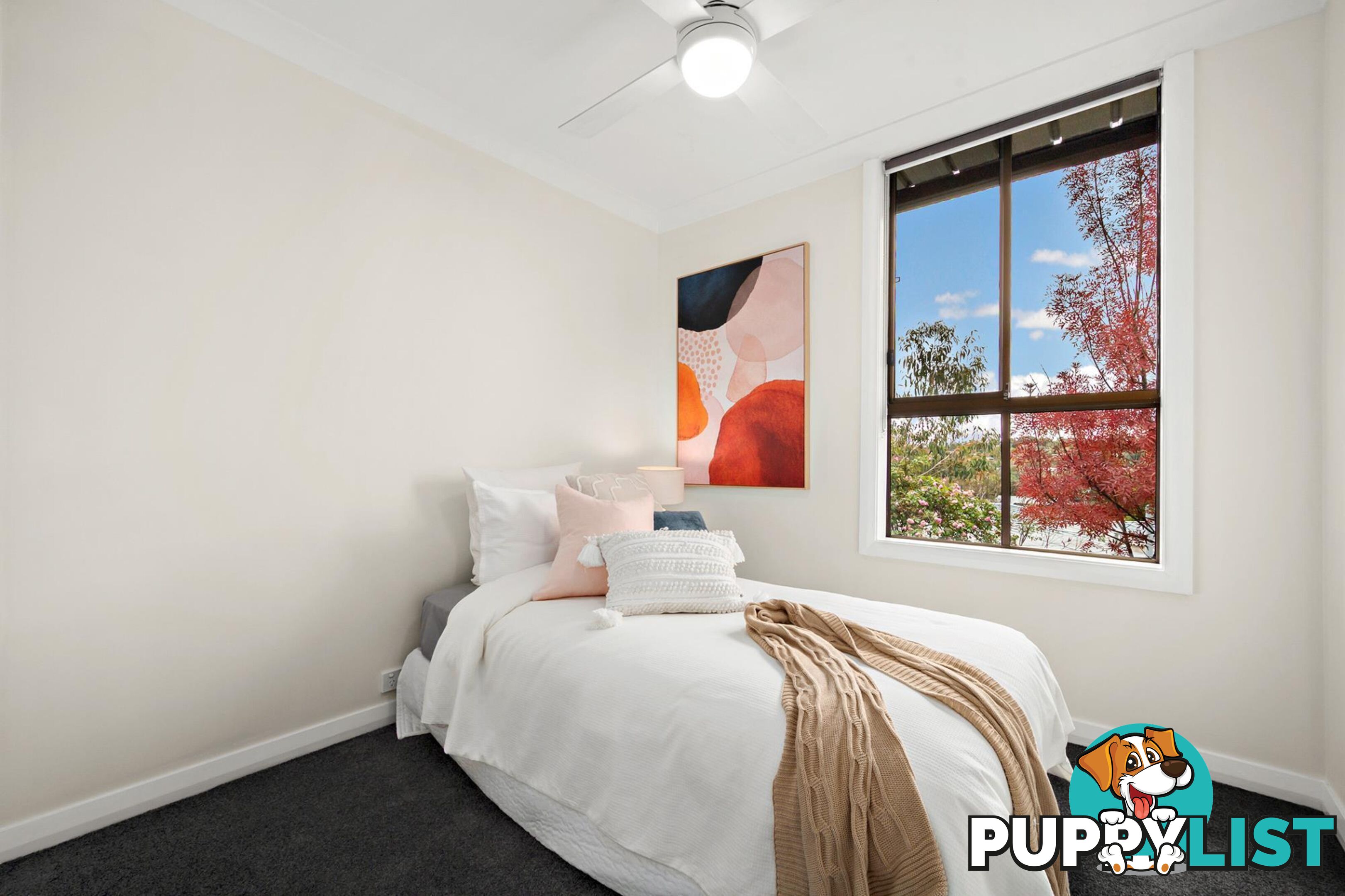 8 Custance Street FARRER ACT 2607