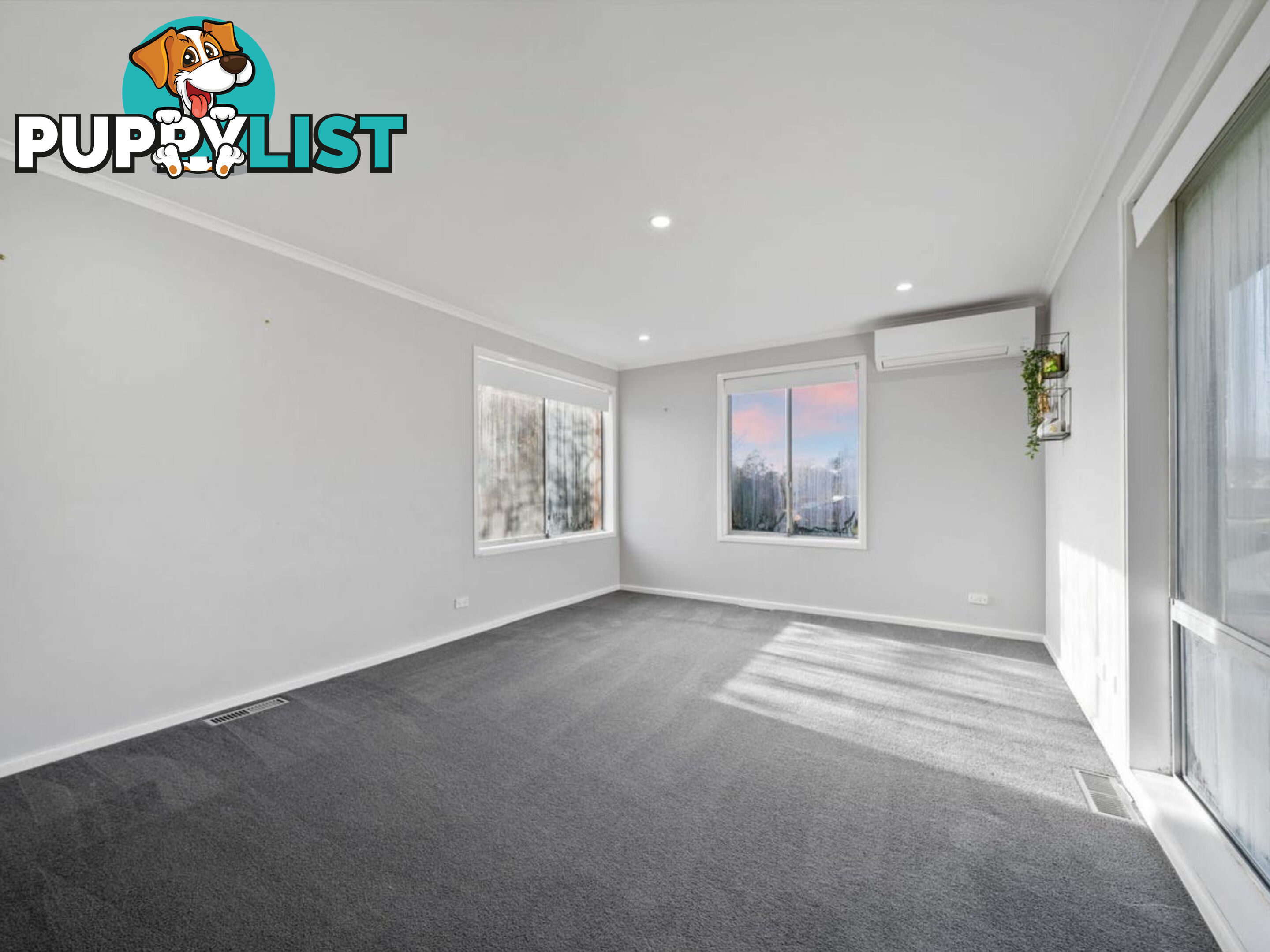 115 Eggleston Crescent CHIFLEY ACT 2606
