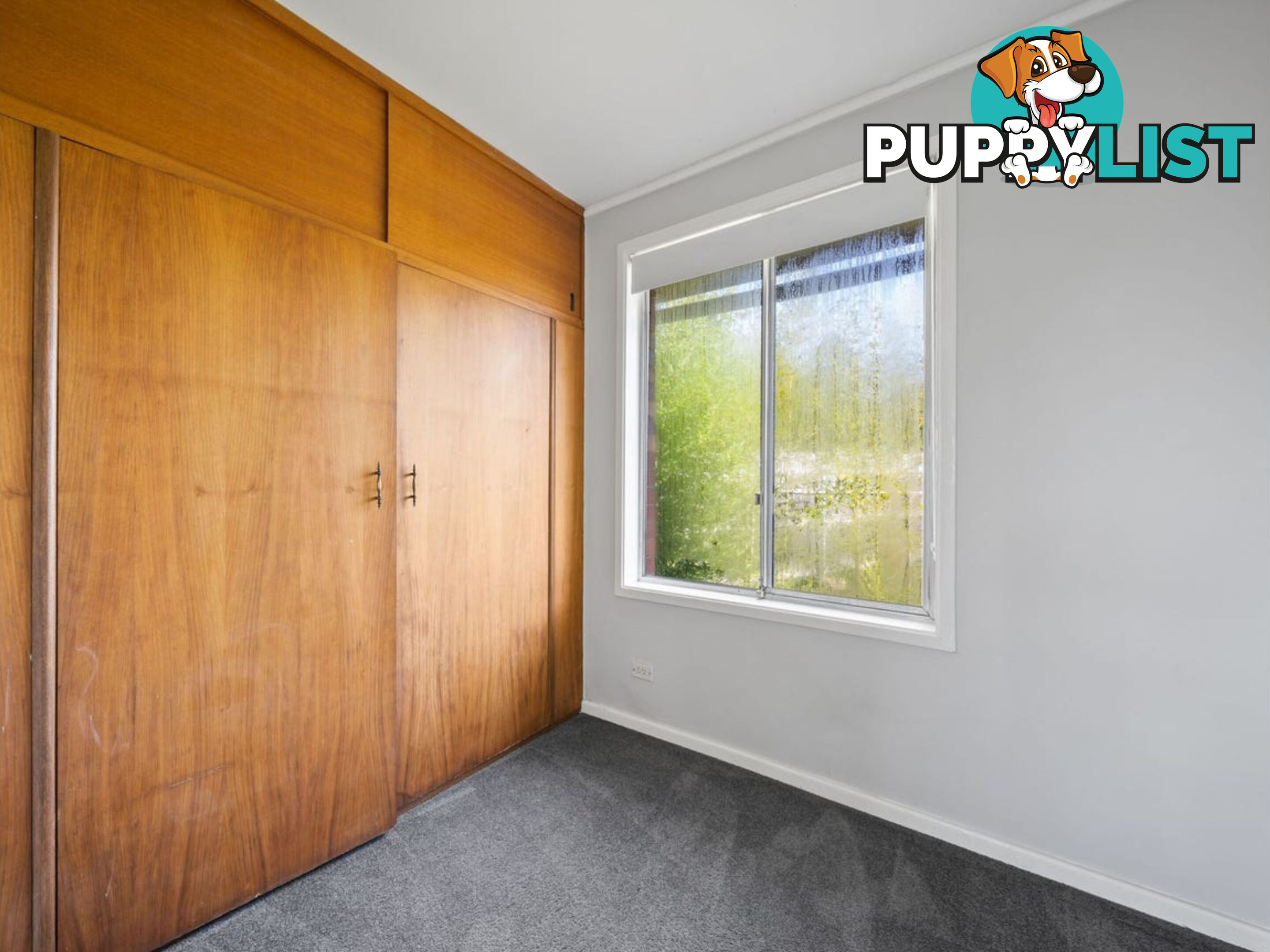 115 Eggleston Crescent CHIFLEY ACT 2606