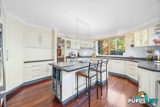 26 Nelson Place CURTIN ACT 2605