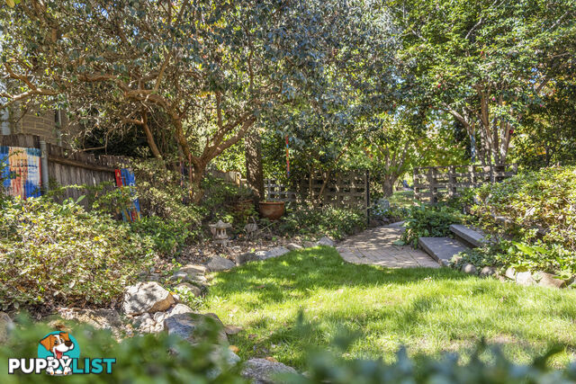 26 Nelson Place CURTIN ACT 2605