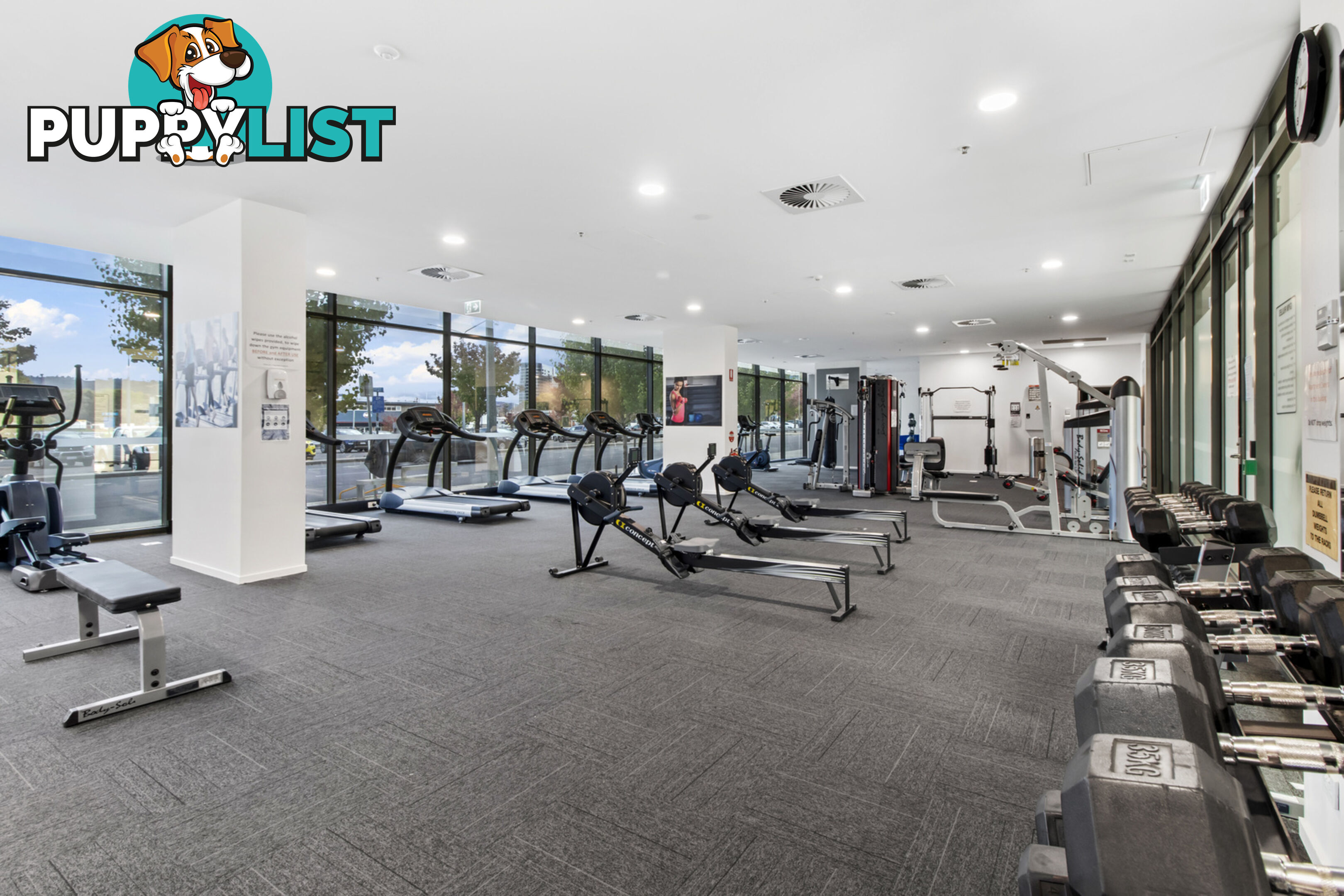 315/7 Irving Street PHILLIP ACT 2606