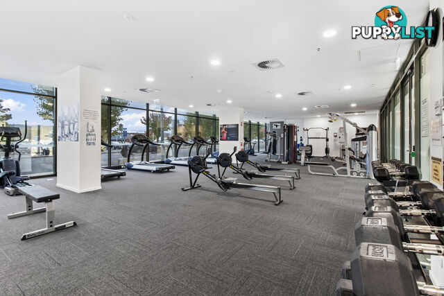 315/7 Irving Street PHILLIP ACT 2606
