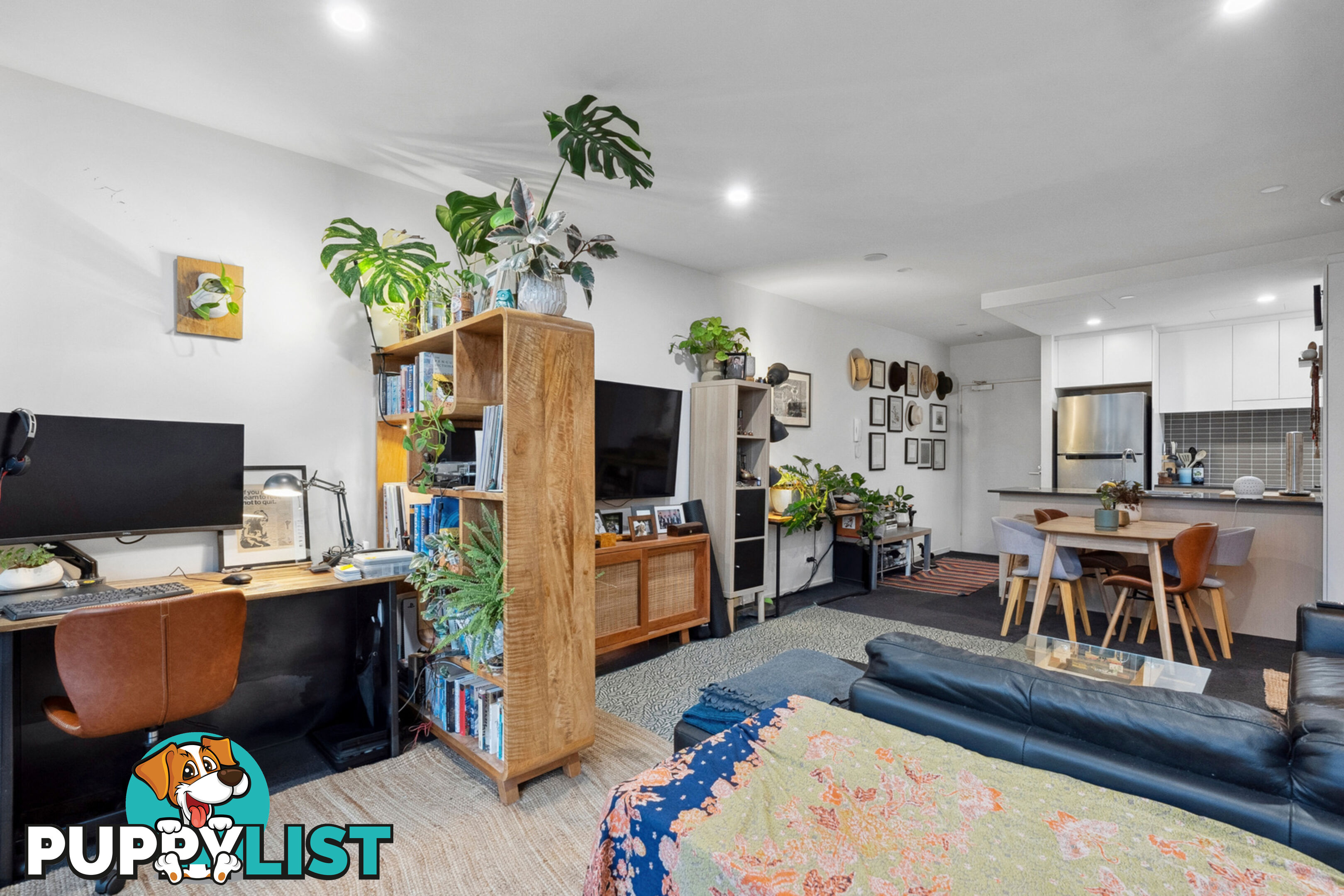315/7 Irving Street PHILLIP ACT 2606