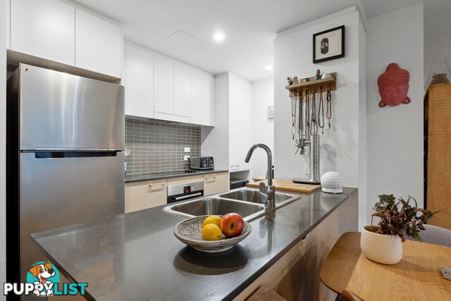 315/7 Irving Street PHILLIP ACT 2606