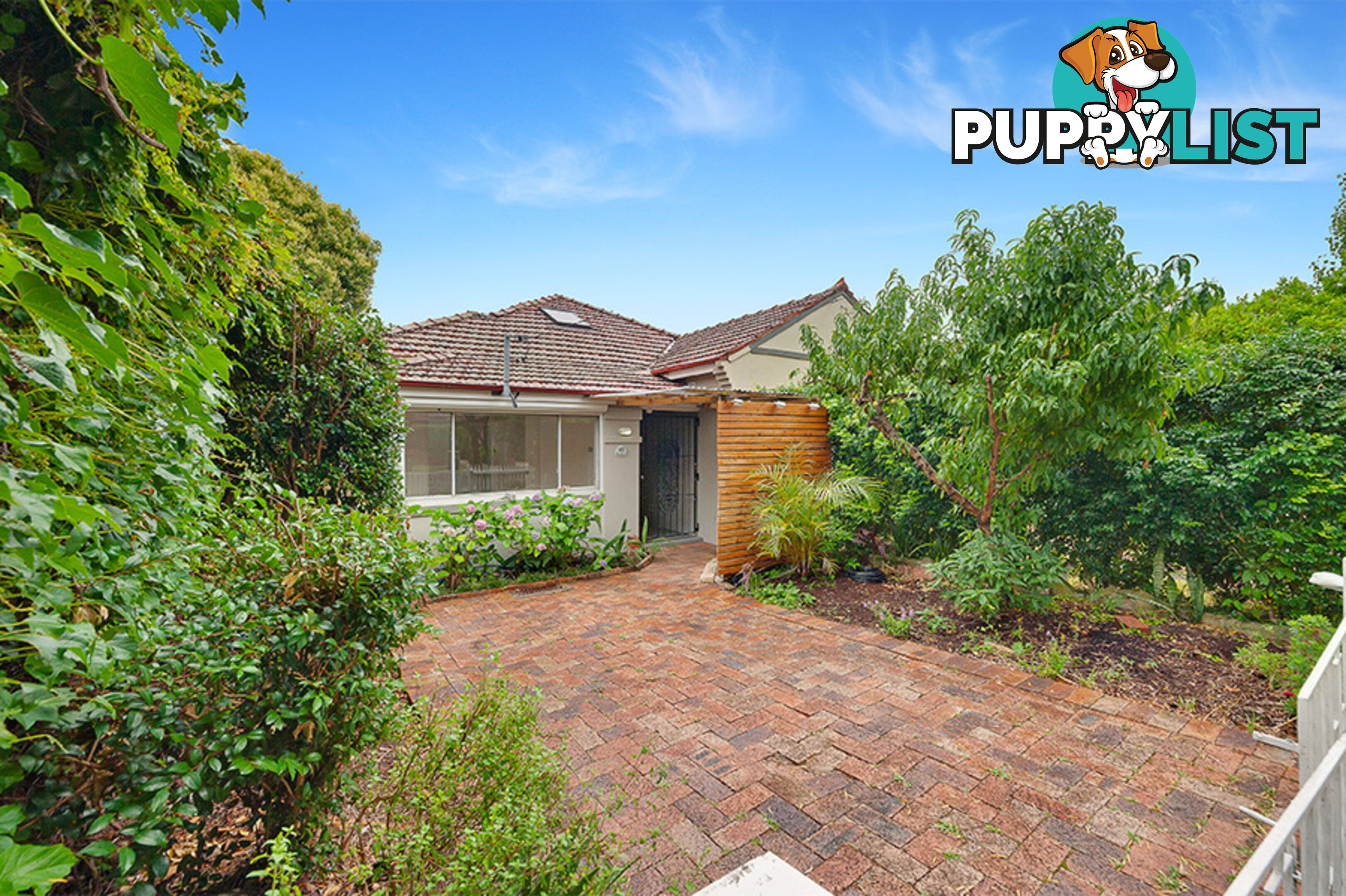 45 Macmahon Street WILLOUGHBY NSW 2068