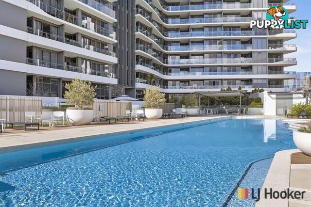 257/15 Irving Street PHILLIP ACT 2606