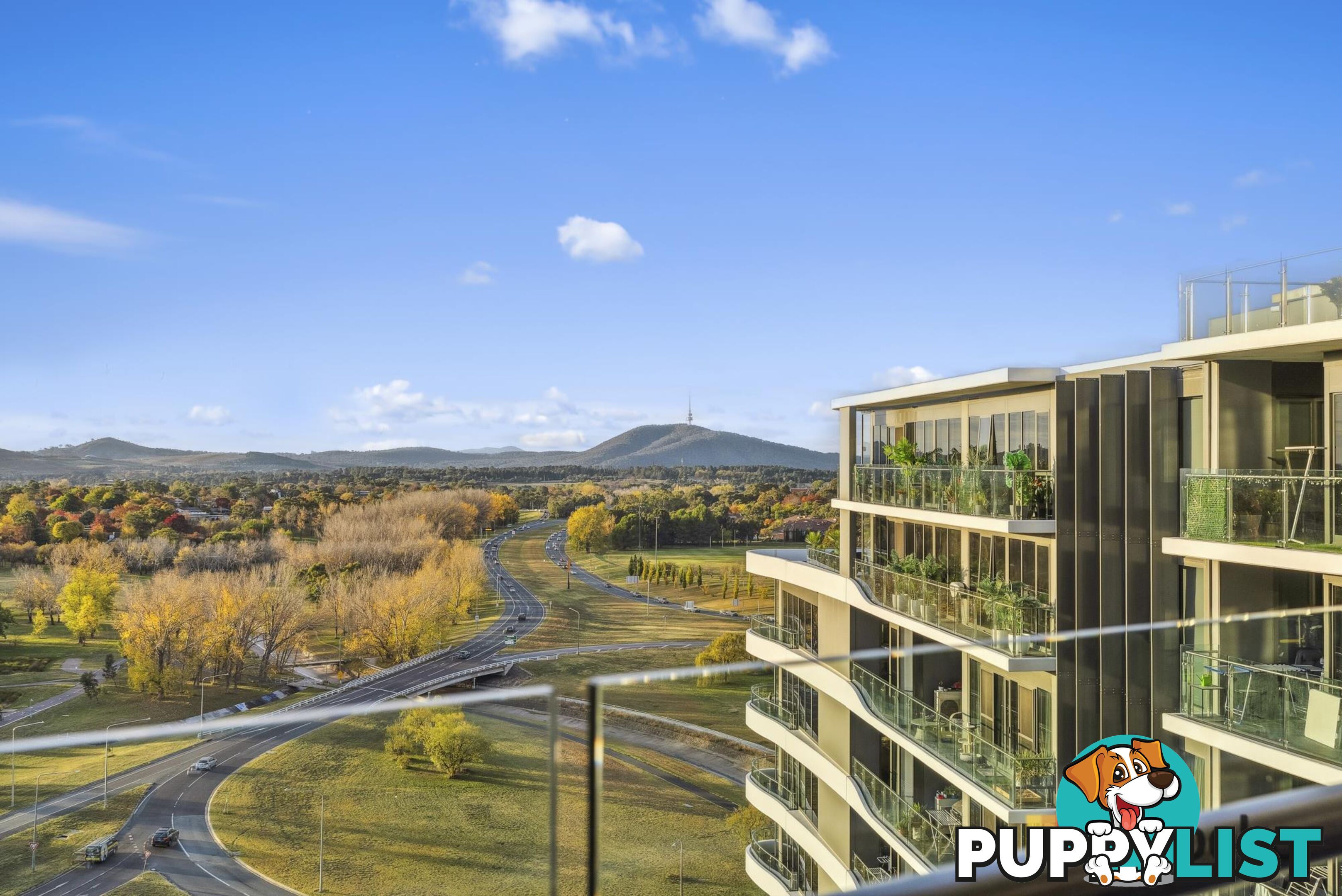 257/15 Irving Street PHILLIP ACT 2606