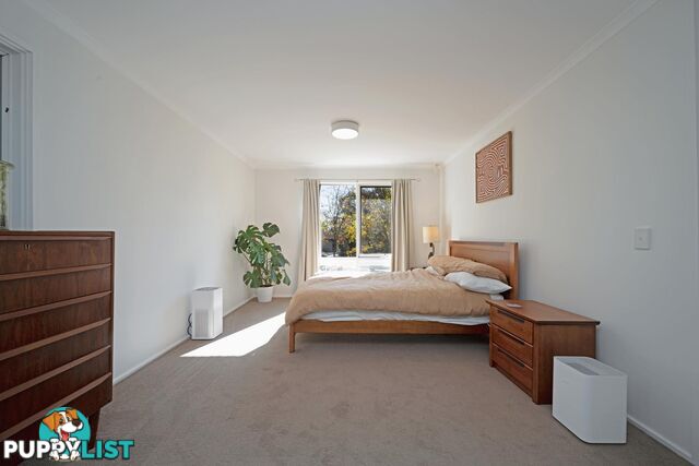 30 Rene Street CHAPMAN ACT 2611