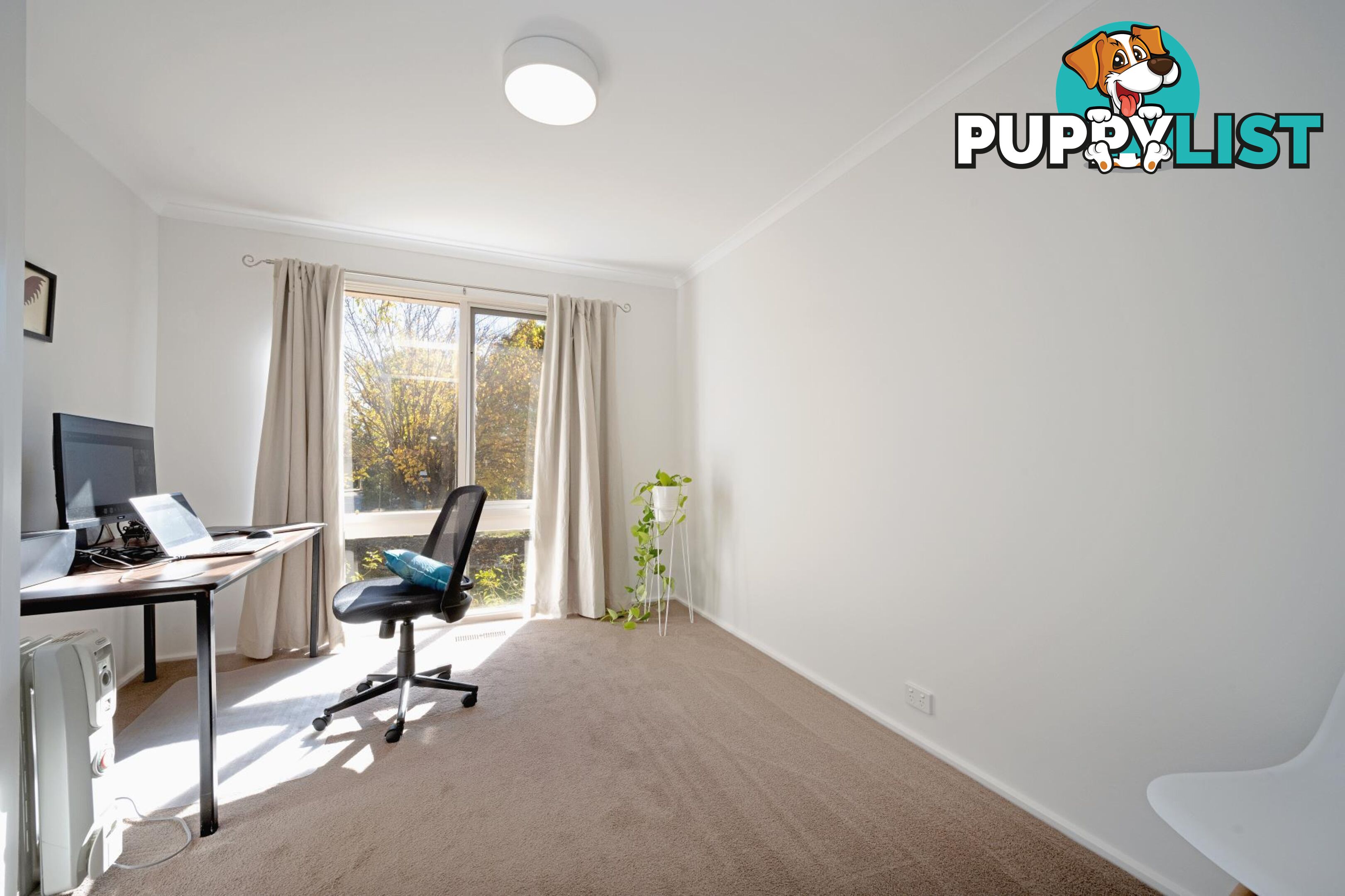 30 Rene Street CHAPMAN ACT 2611