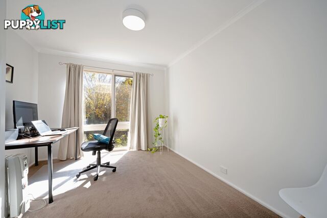 30 Rene Street CHAPMAN ACT 2611