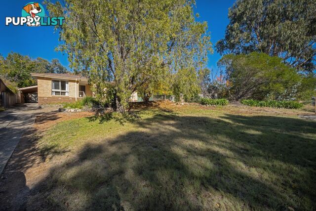 30 Rene Street CHAPMAN ACT 2611