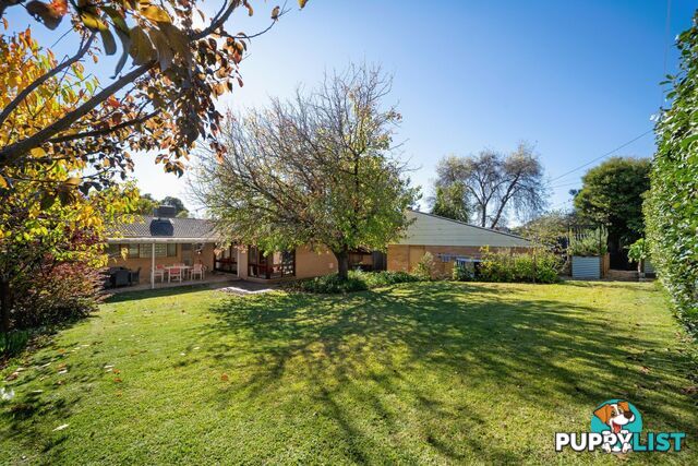 30 Rene Street CHAPMAN ACT 2611