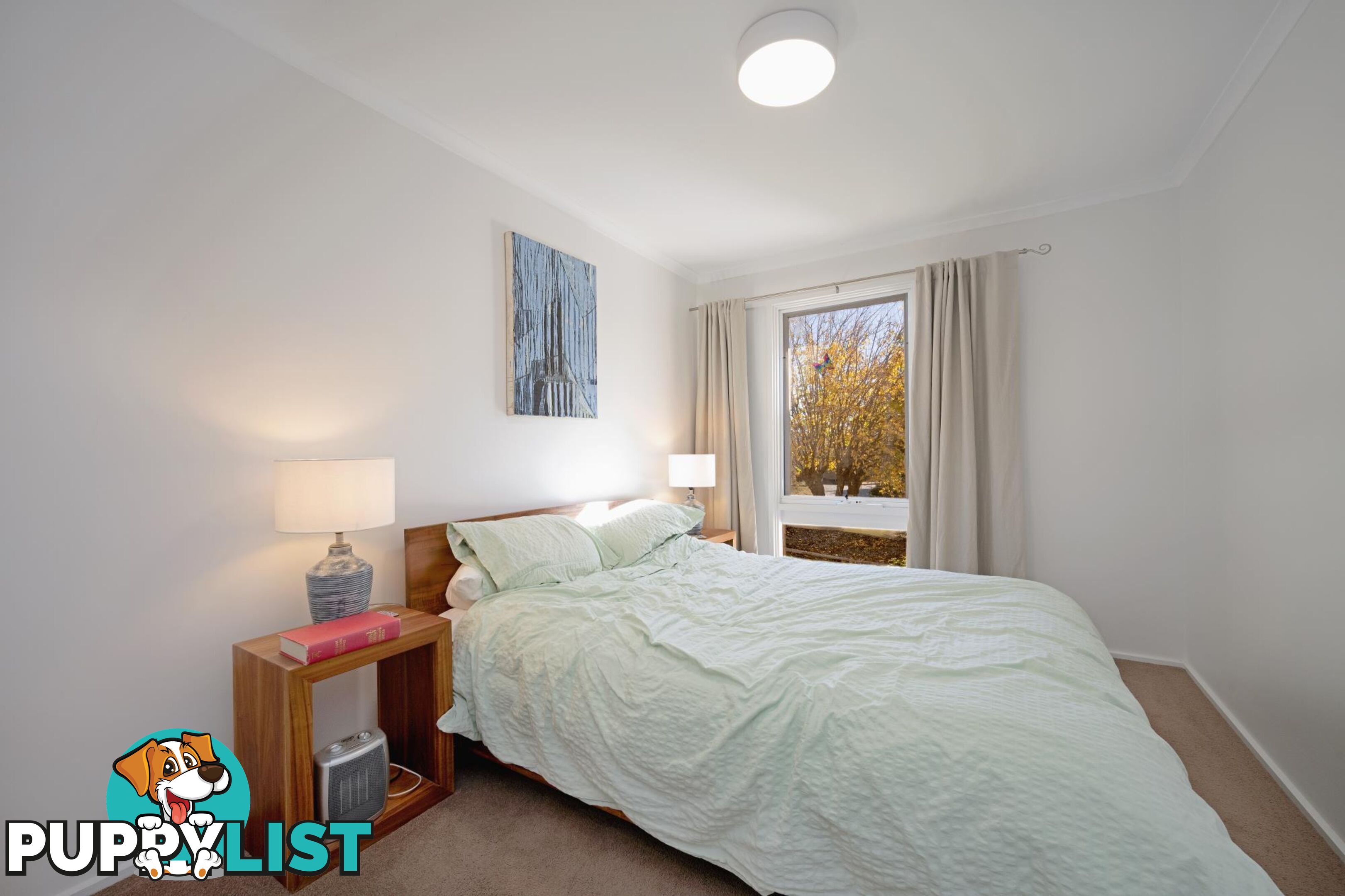 30 Rene Street CHAPMAN ACT 2611