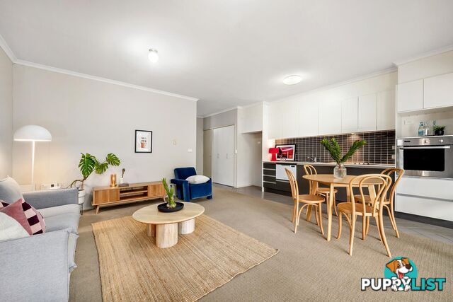 4/48 Henty Street BRADDON ACT 2612