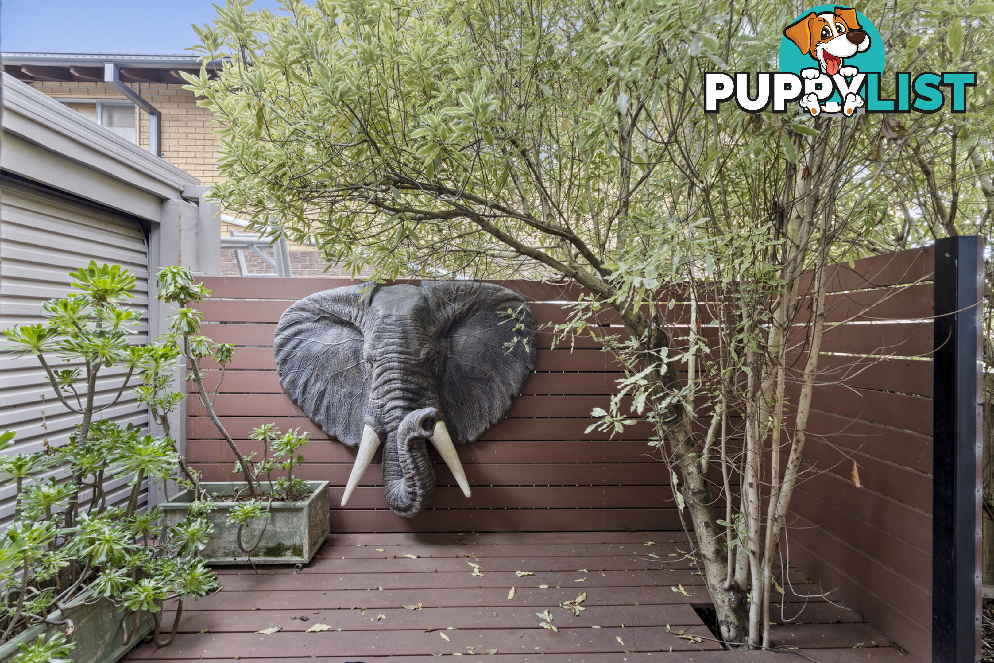 43 Leist Street WESTON ACT 2611