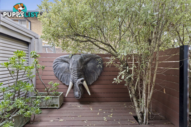43 Leist Street WESTON ACT 2611
