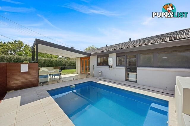 34 Rapanea Street RIVETT ACT 2611