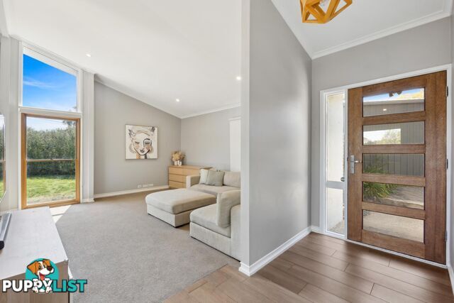 34 Rapanea Street RIVETT ACT 2611