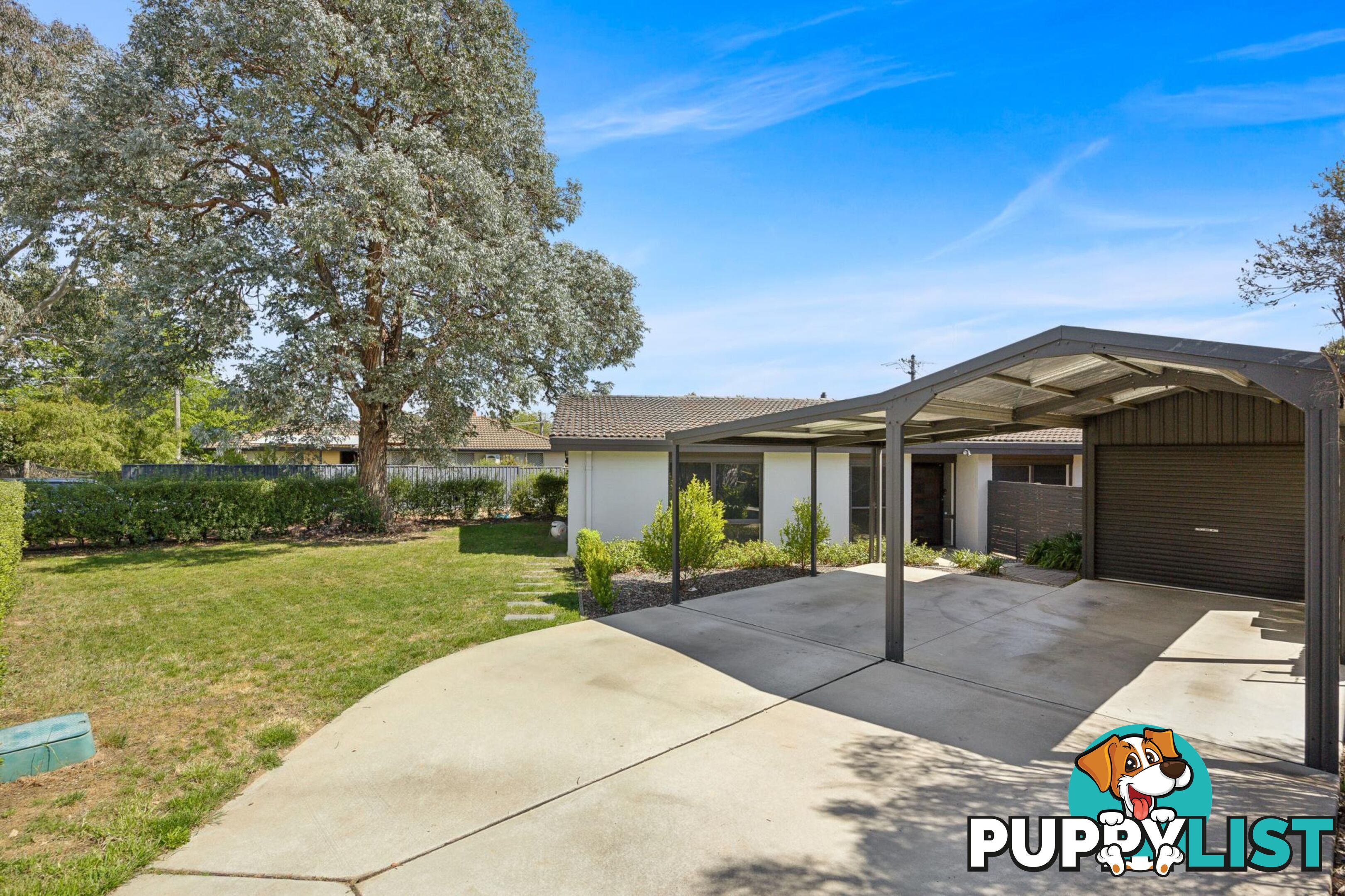 34 Rapanea Street RIVETT ACT 2611