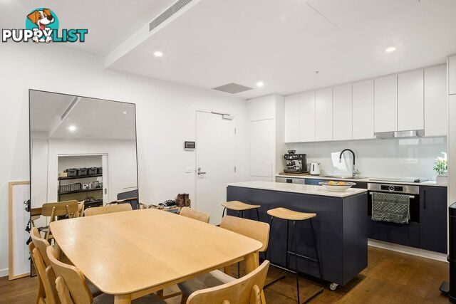 333/34 Eyre Street KINGSTON ACT 2604