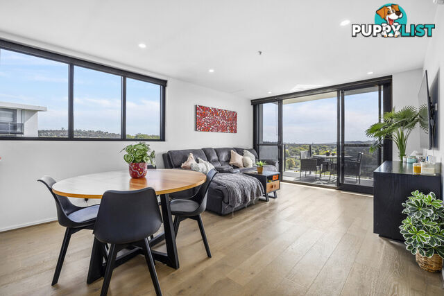 97/9 Irving Street PHILLIP ACT 2606