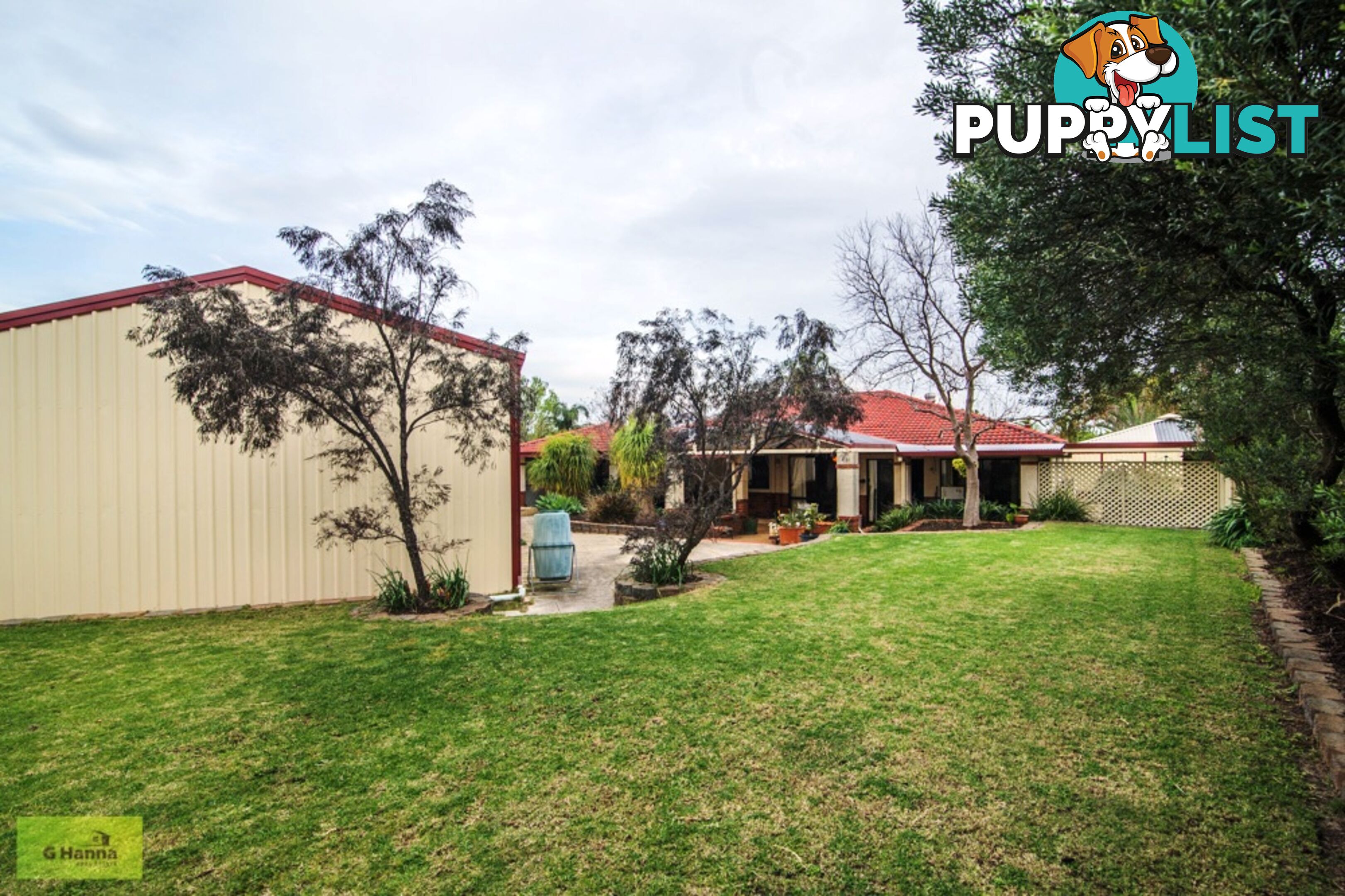 8 Wiluna Court Gosnells, WA 6110