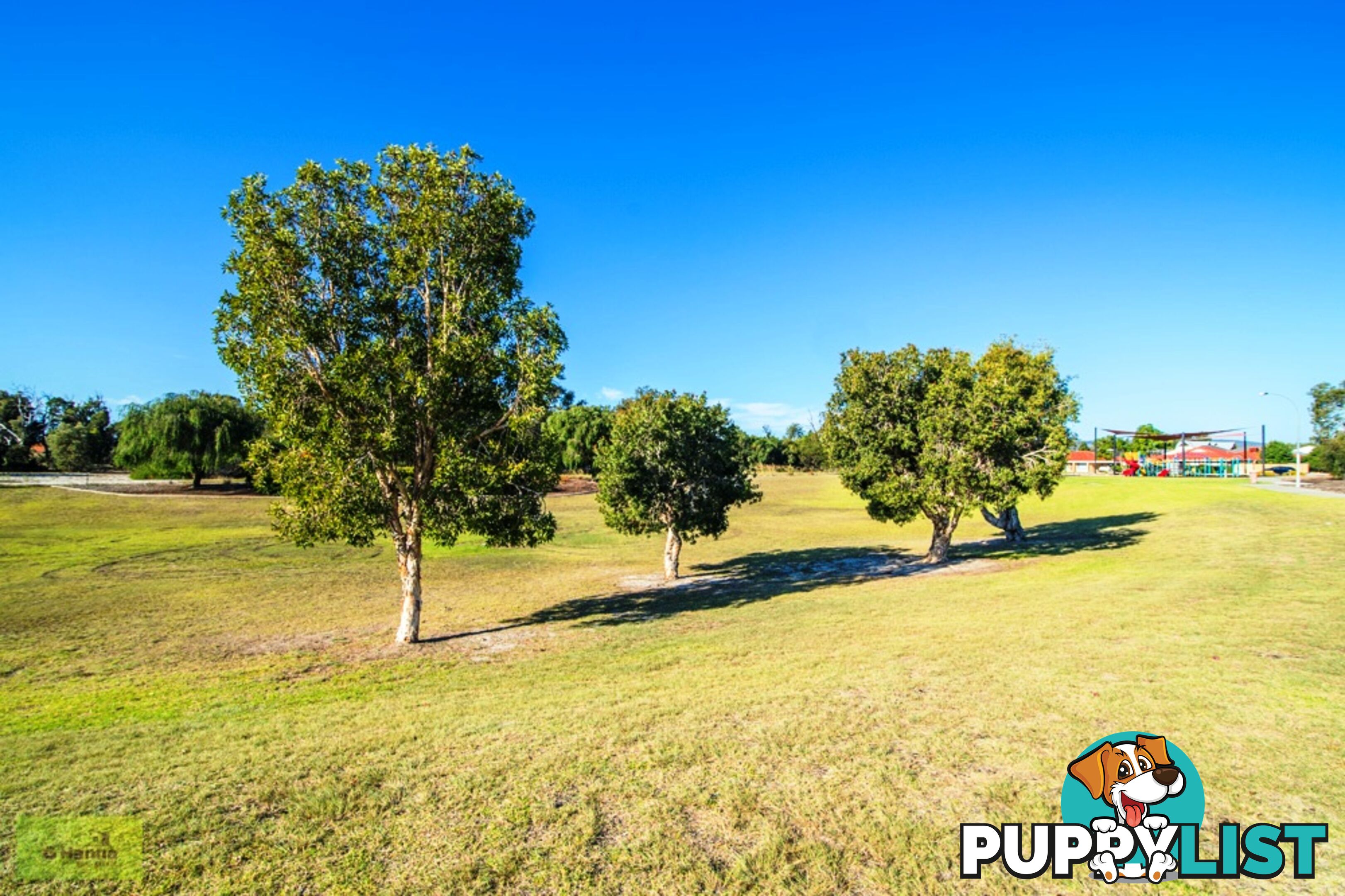 9 Madden Place Huntingdon, NSW 2446