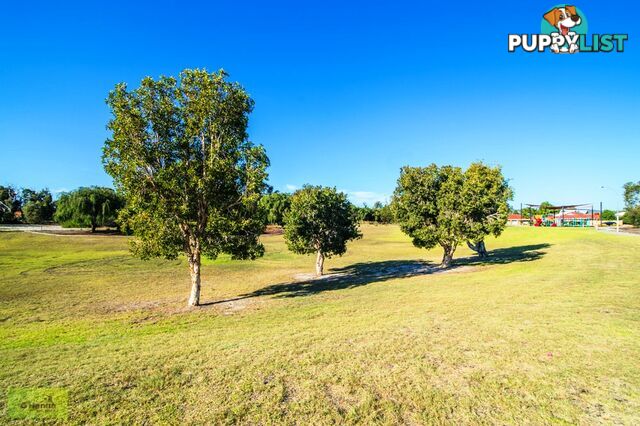 9 Madden Place Huntingdon, NSW 2446