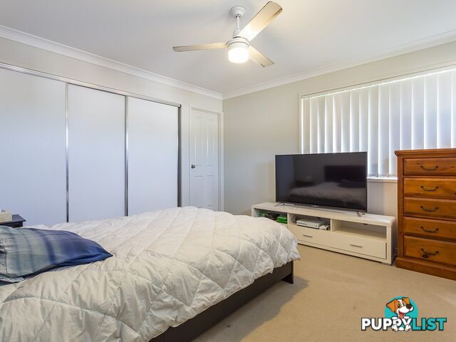 2/17 Golden Crest Pl BELLBOWRIE QLD 4070