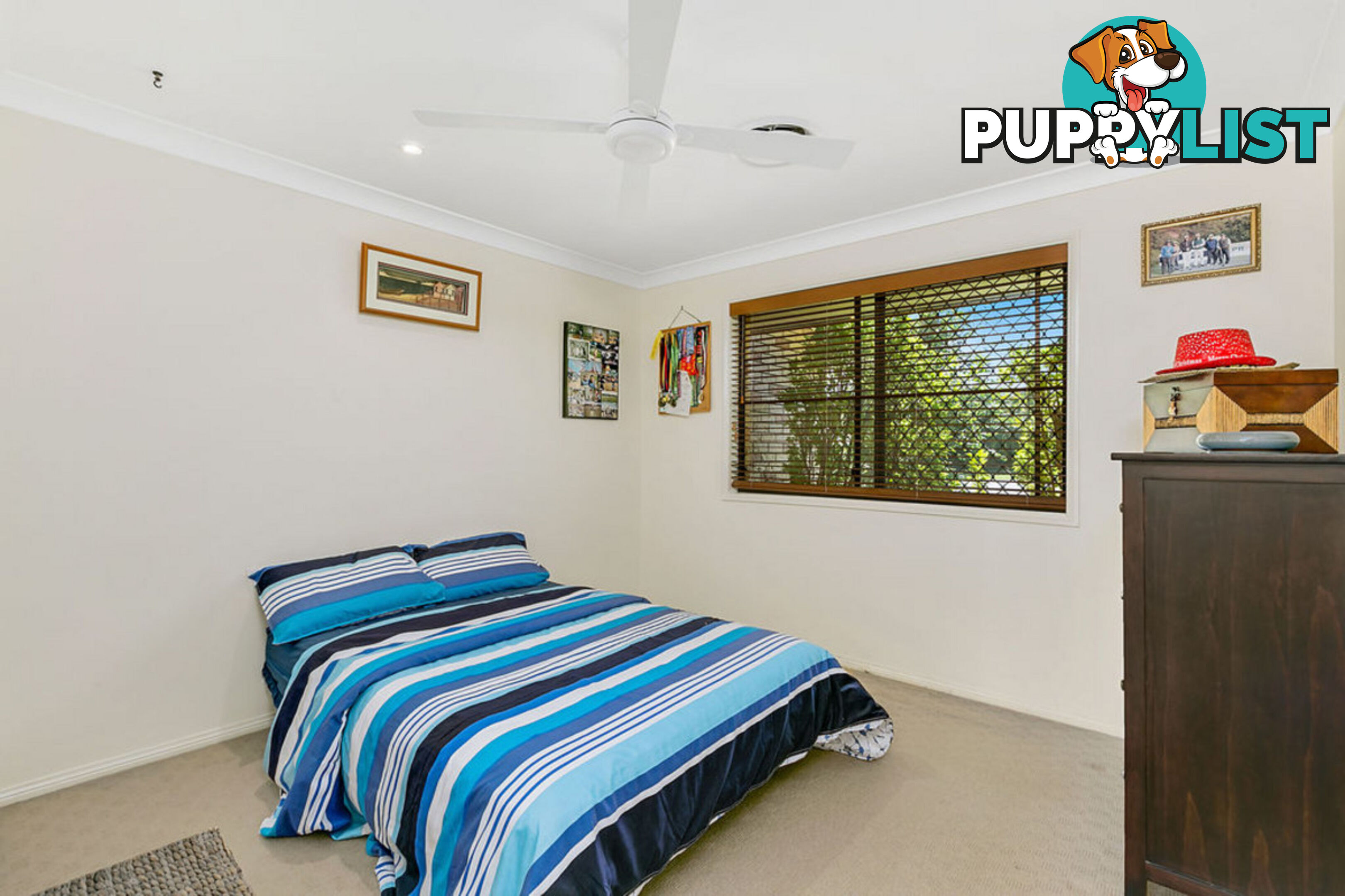 41-43 Teasdale Drive NERANG QLD 4211