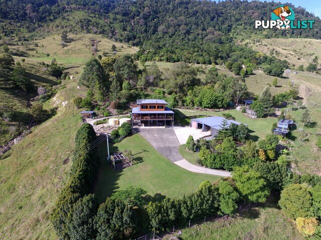 601 Illinbah Road ILLINBAH QLD 4275