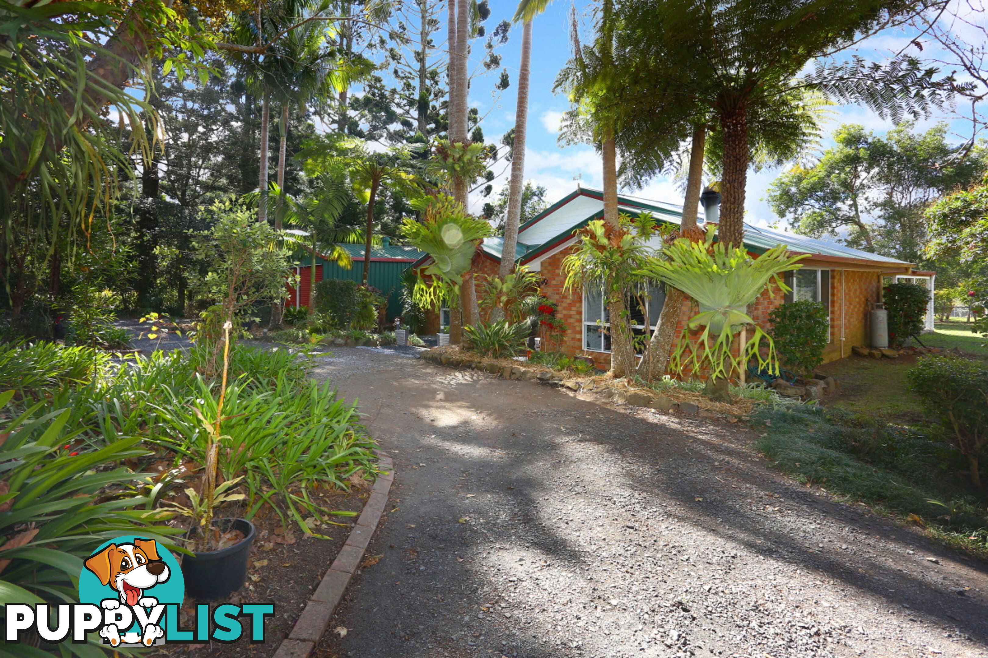 2313 Springbrook Road SPRINGBROOK QLD 4213