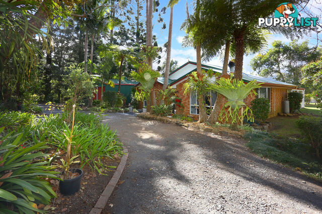 2313 Springbrook Road SPRINGBROOK QLD 4213