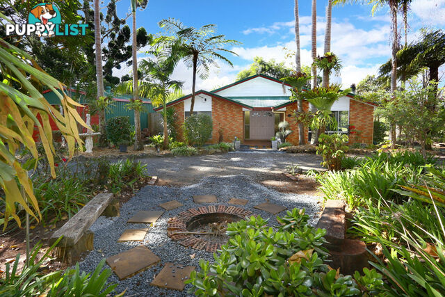 2313 Springbrook Road SPRINGBROOK QLD 4213