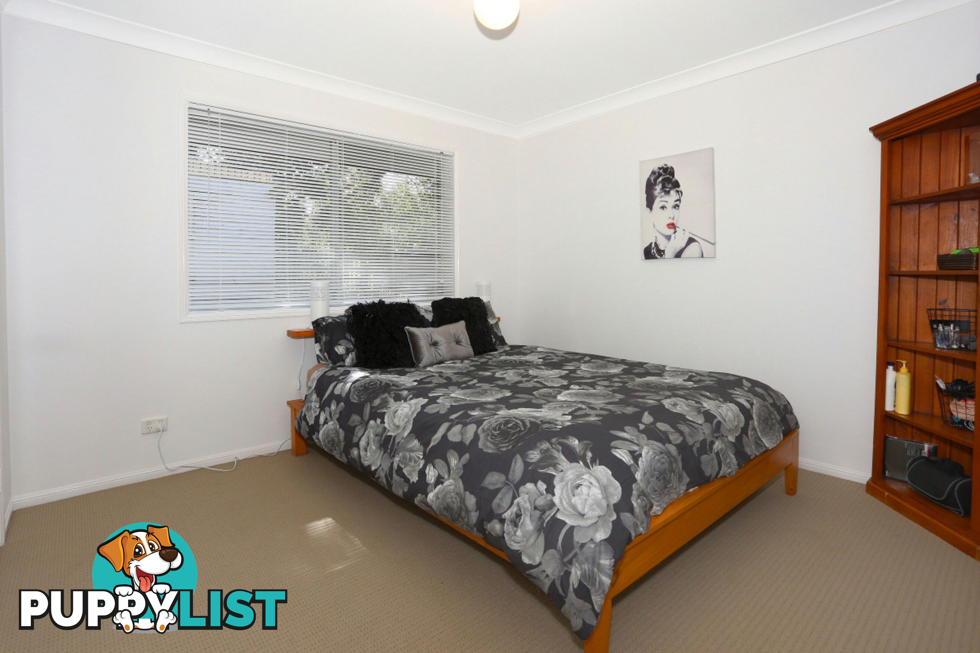 2313 Springbrook Road SPRINGBROOK QLD 4213