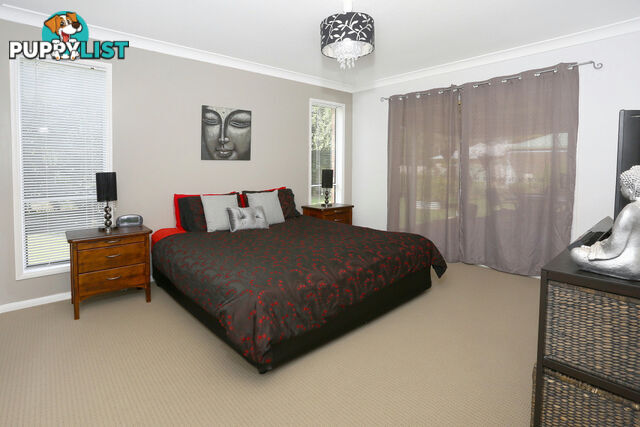 2313 Springbrook Road SPRINGBROOK QLD 4213