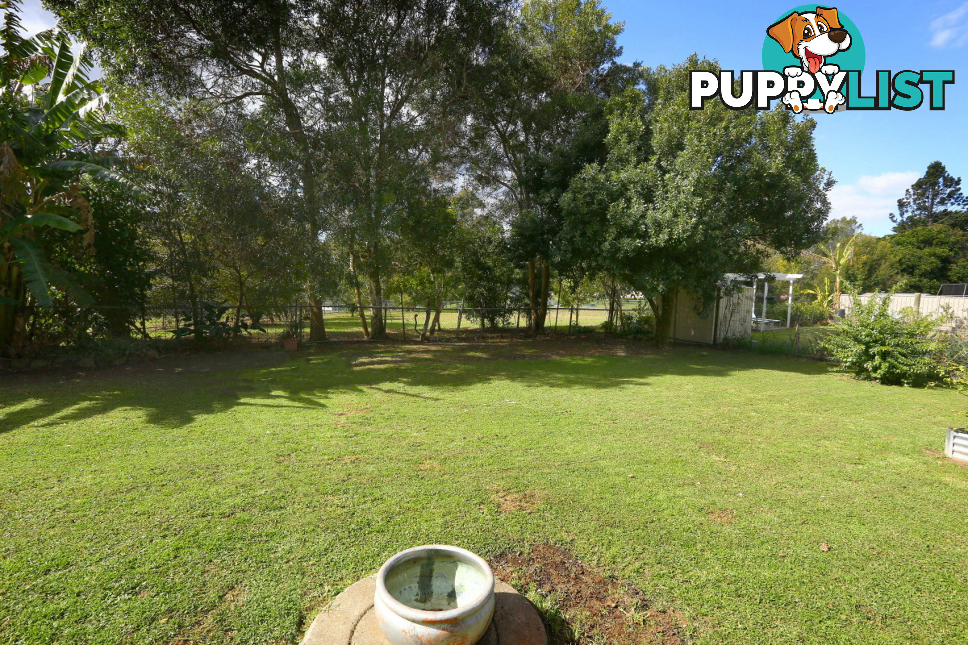 2313 Springbrook Road SPRINGBROOK QLD 4213