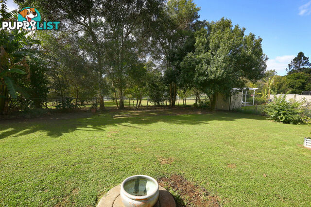 2313 Springbrook Road SPRINGBROOK QLD 4213