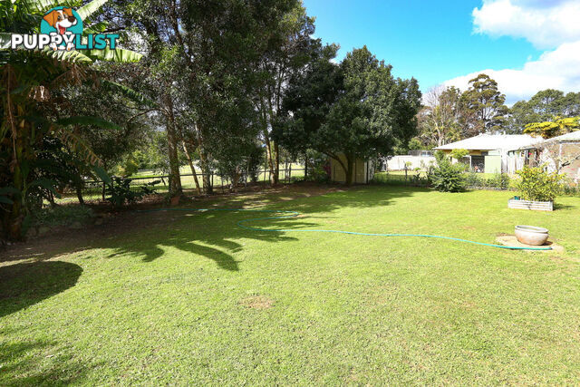 2313 Springbrook Road SPRINGBROOK QLD 4213