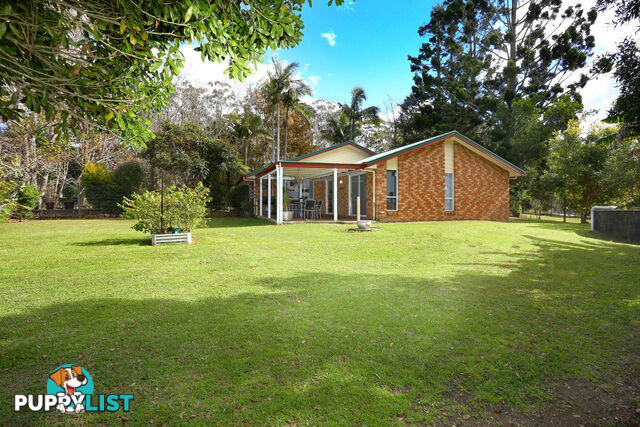 2313 Springbrook Road SPRINGBROOK QLD 4213