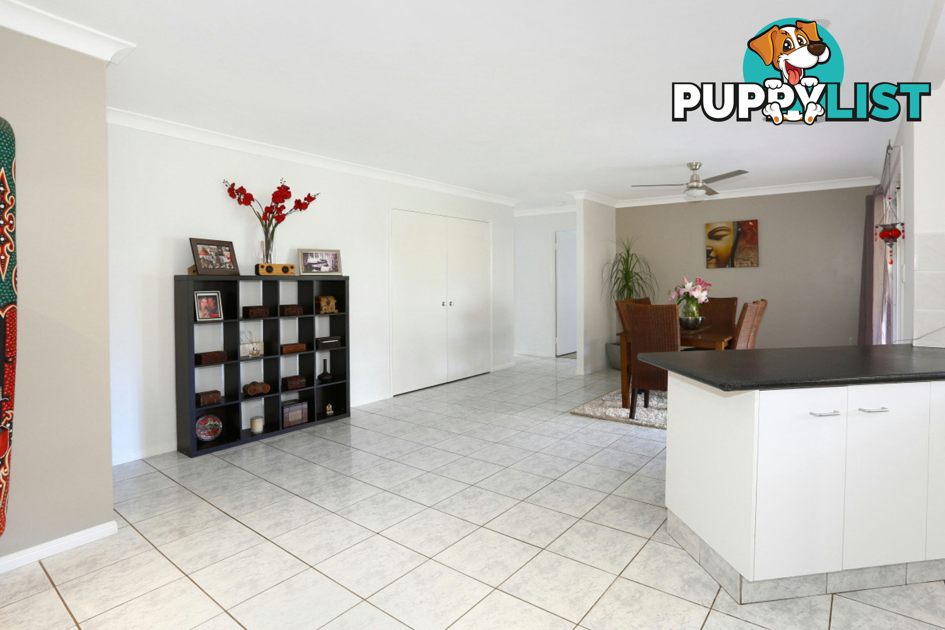 2313 Springbrook Road SPRINGBROOK QLD 4213