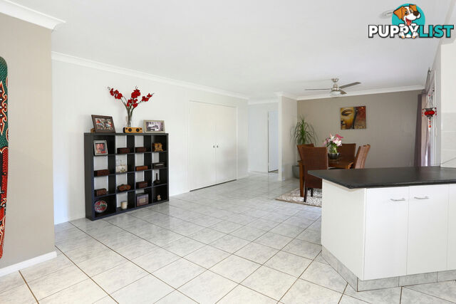 2313 Springbrook Road SPRINGBROOK QLD 4213