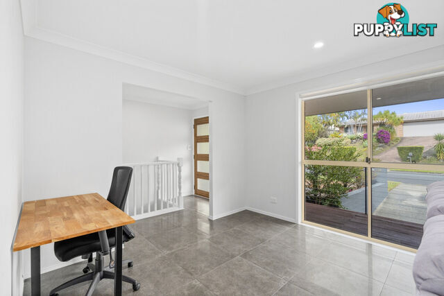 3 Kilmuir Street HIGHLAND PARK QLD 4211