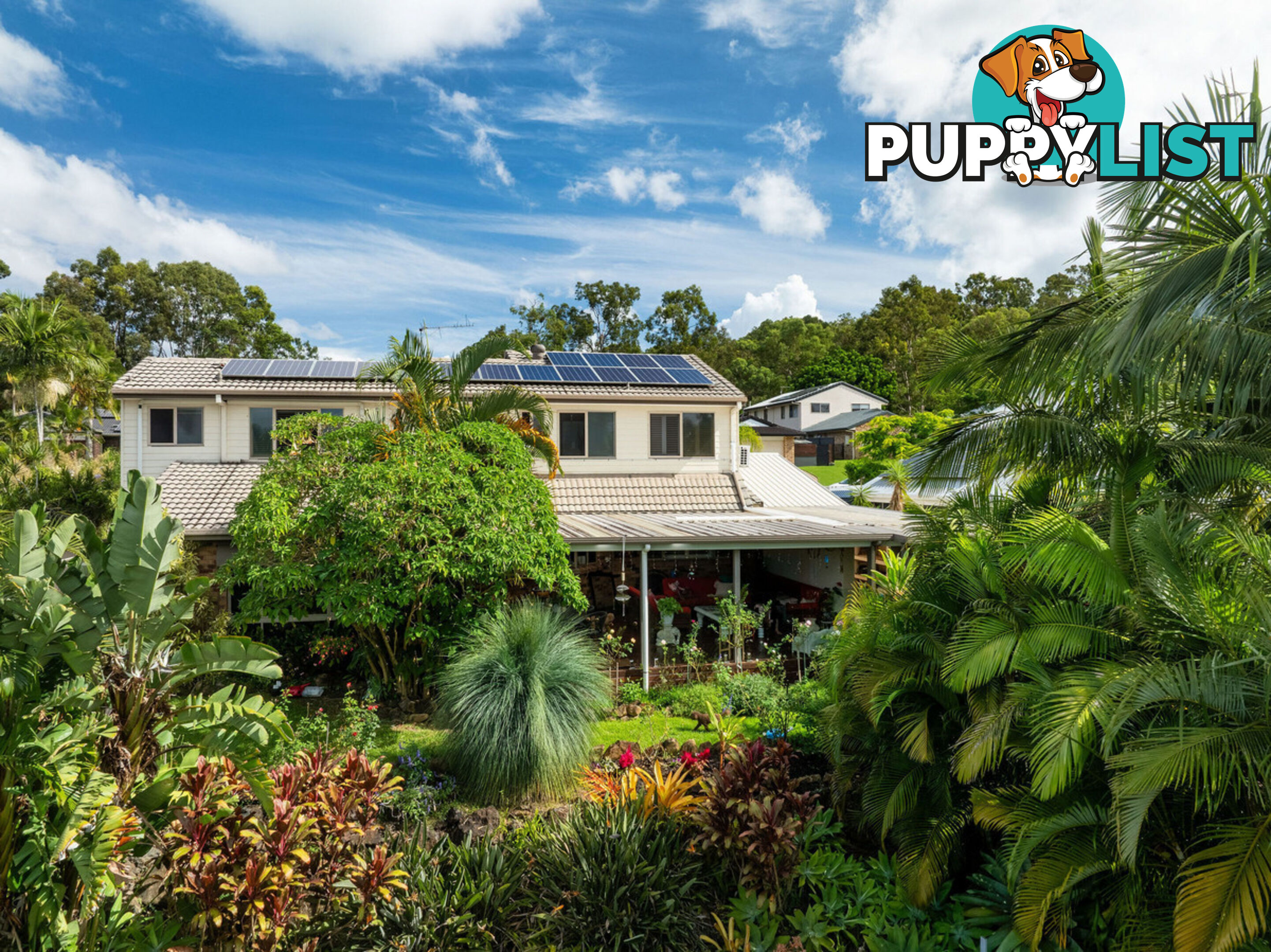 19 Padauk Drive NERANG QLD 4211