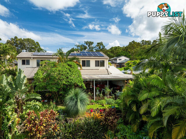 19 Padauk Drive NERANG QLD 4211