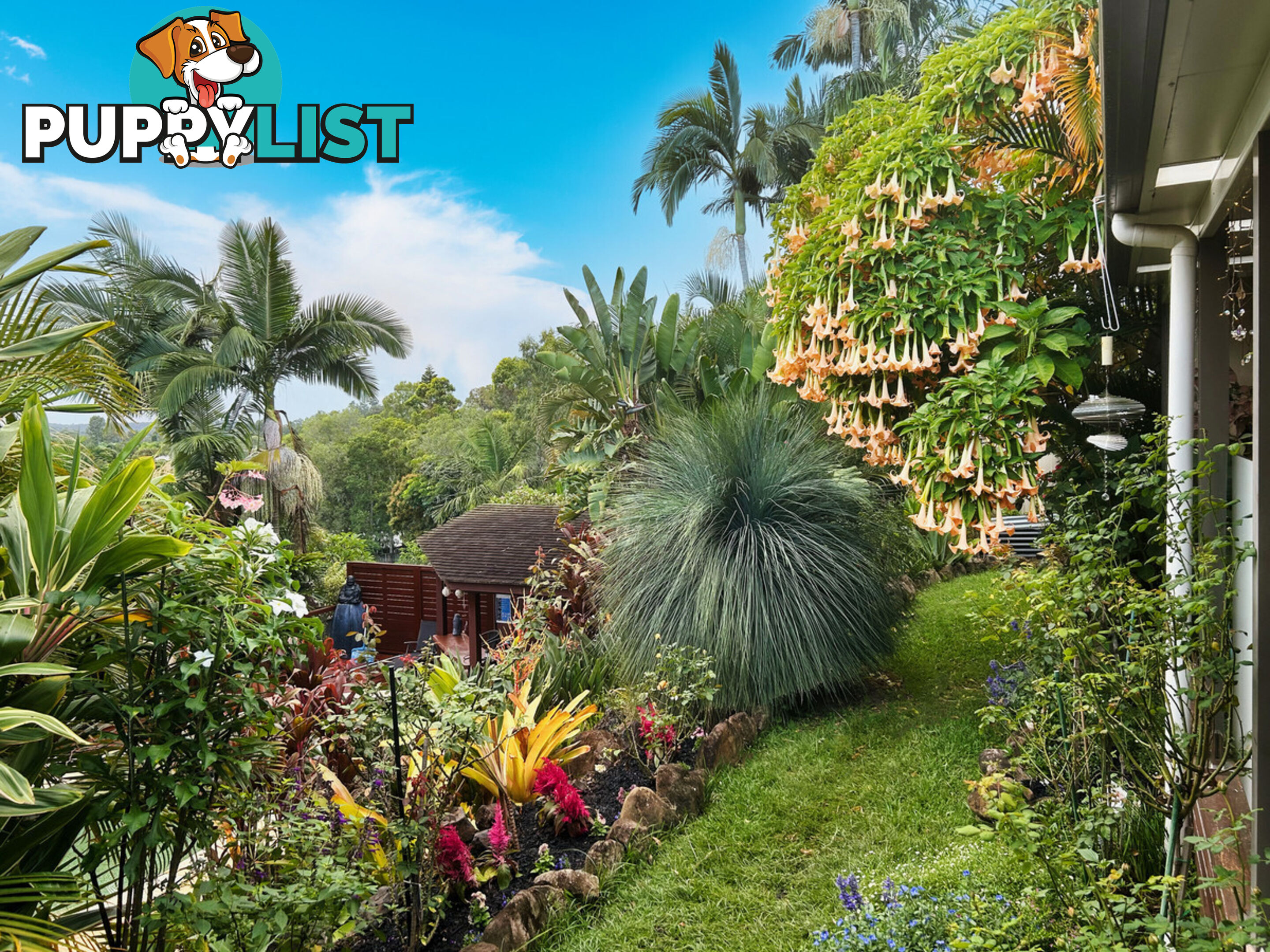 19 Padauk Drive NERANG QLD 4211