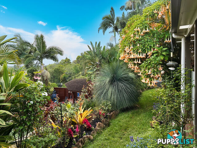 19 Padauk Drive NERANG QLD 4211
